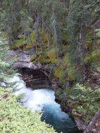 008 Johnston Canyon