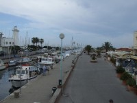 Viareggio 1