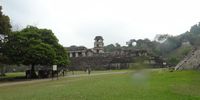 N.P Palenque